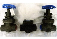 Forge Steel Valves